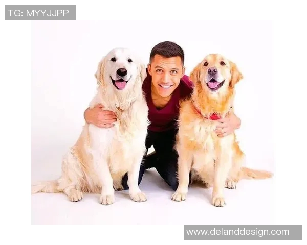 客厅小摆件足球明星的魅力与装饰效果提升家居品味的完美选择